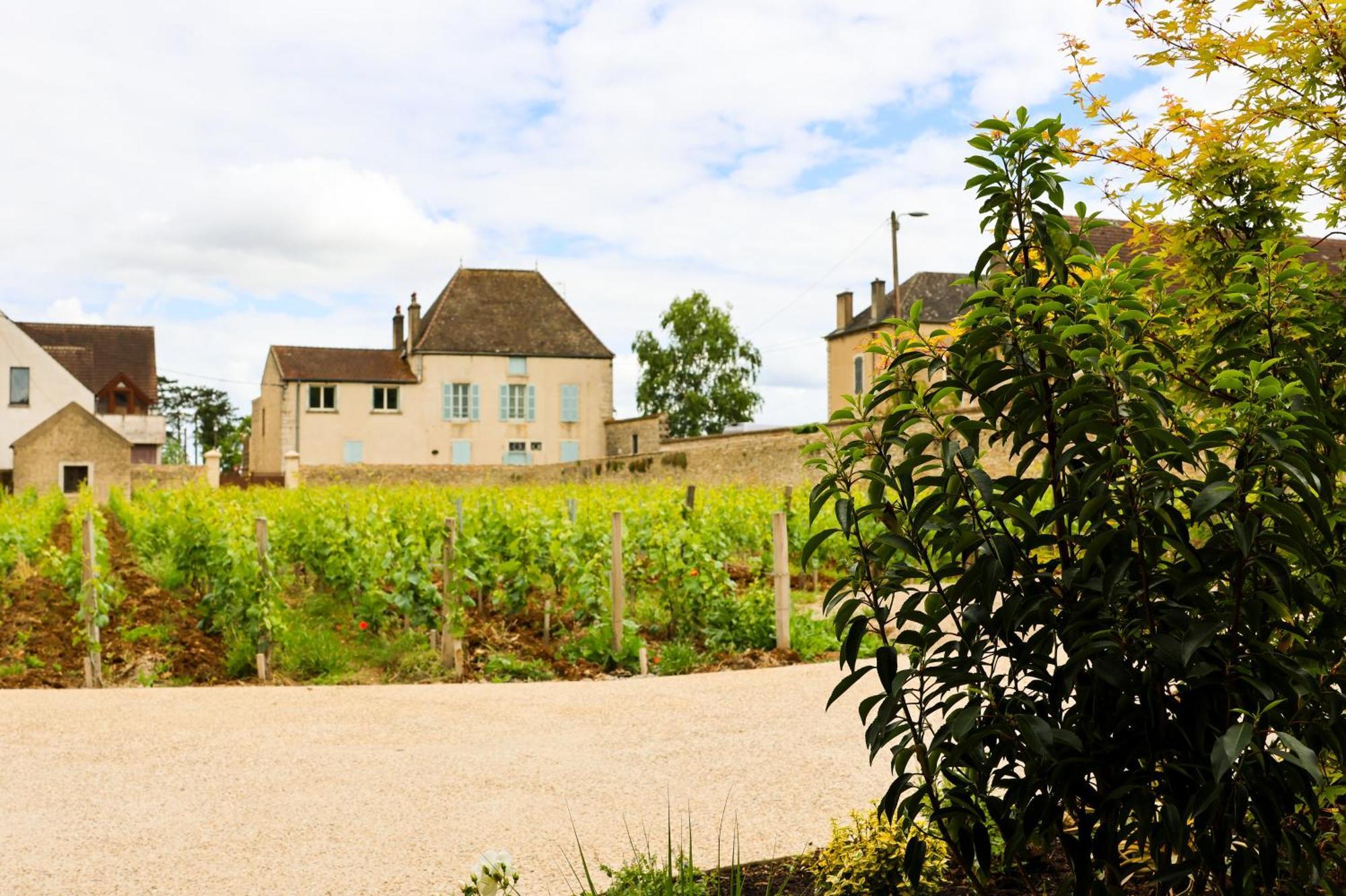 Hotel Particulier Adult Only Les Reveries Du Clos Spa Degustation Et Diner Sur Reservation Pommard Exterior photo